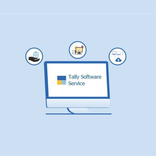 Tally Software Service